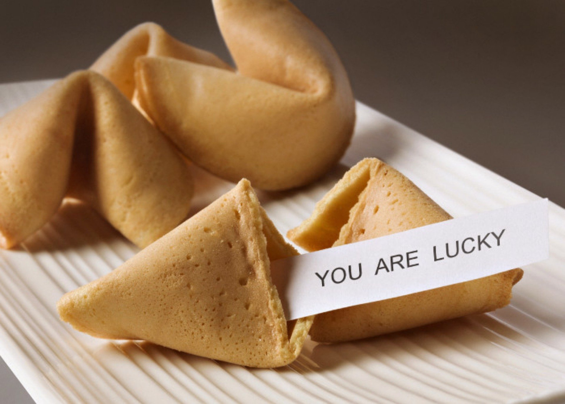 fortune cookie written you are lucky