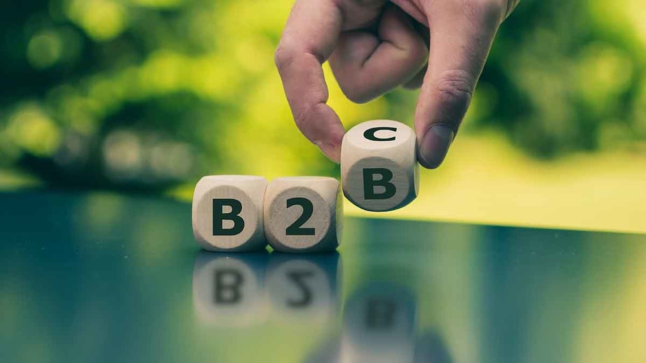 difference between b2b and b2c on a dice