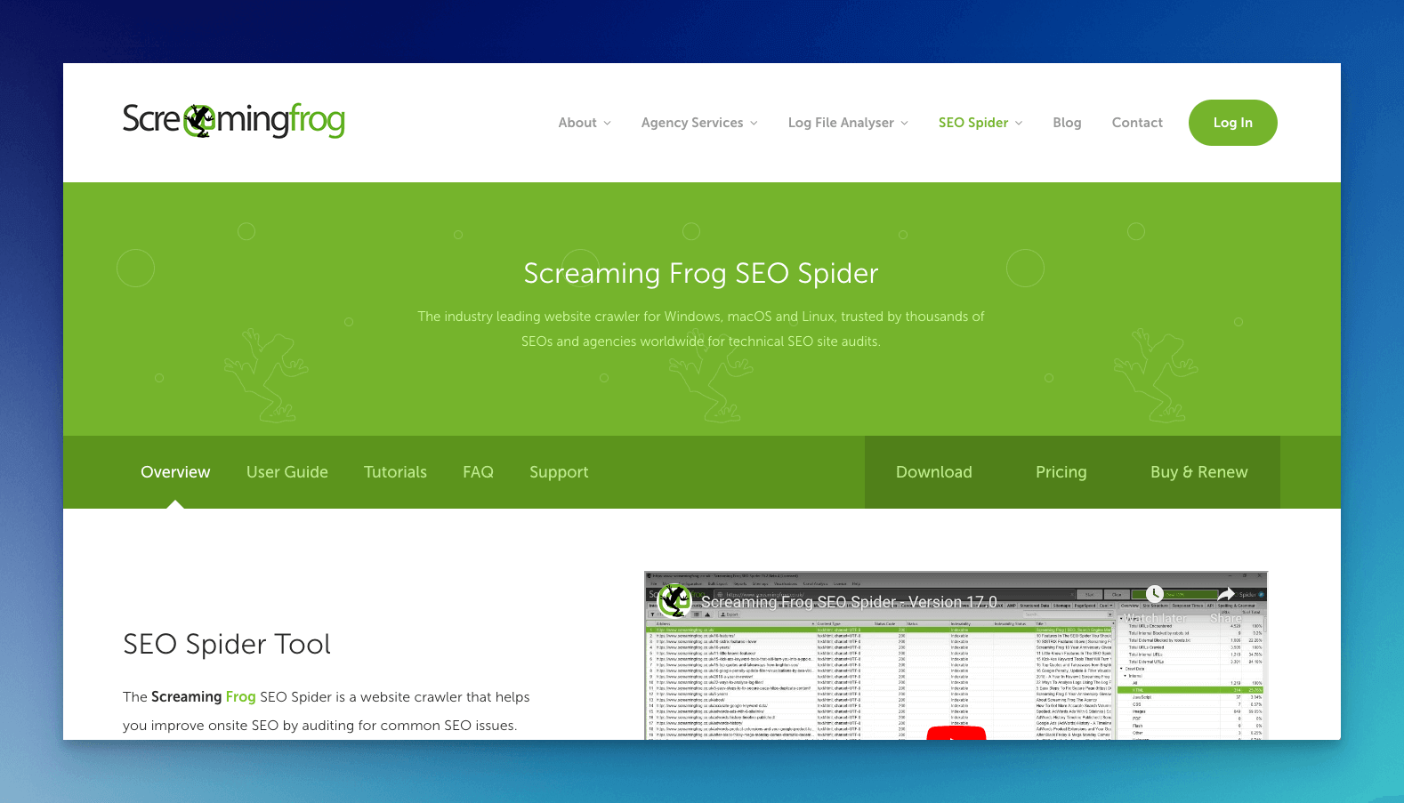screaming frog spider seo crawler tool homepage with a green background