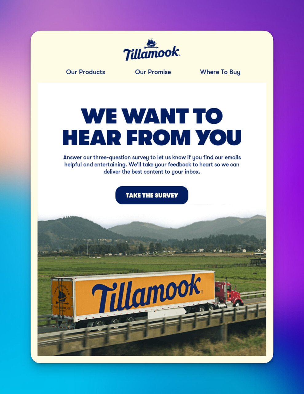 Tillamook review email