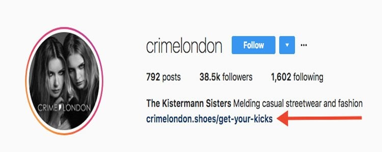 Customizable Instagram Bio, Call to Action on Instagram