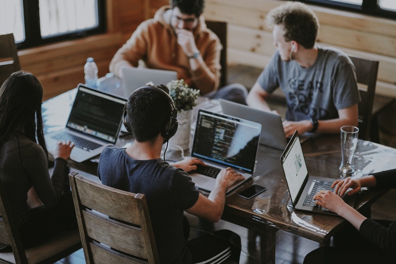 webflow kullanıcıları ve insan grubu