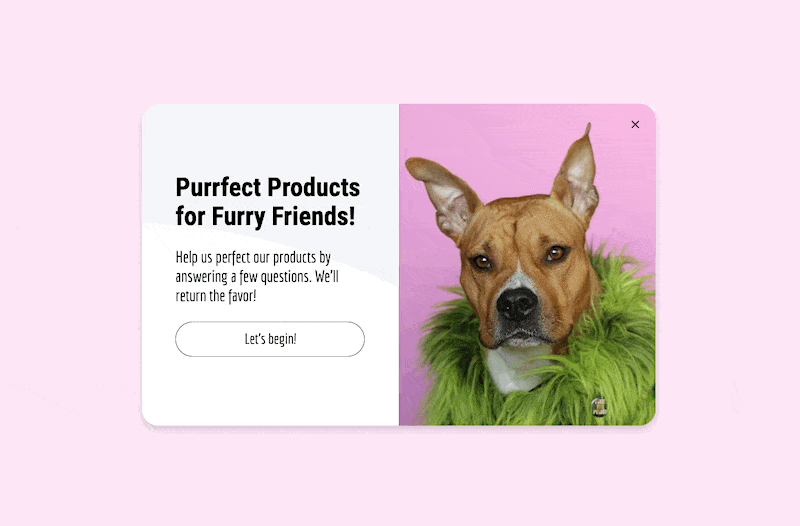 yeşil tüylü bir ceket giymiş köpekle ilgili bir popup, sağda köpek ve solda evcil hayvan ürünleri hakkında biraz metin var