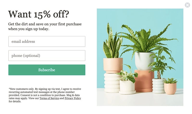 The Sill email newsletter popup form example with the headline Want 15 percent off