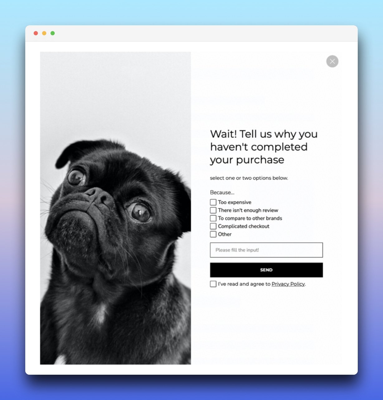 ilk etapta siyah bir pug fotoğrafı ile sağ tarafta neden alışveriş tamamlanmadığını soran bazı seçenekler ve bir metin alanı içeren bir çıkış niyetli pop-up örneği