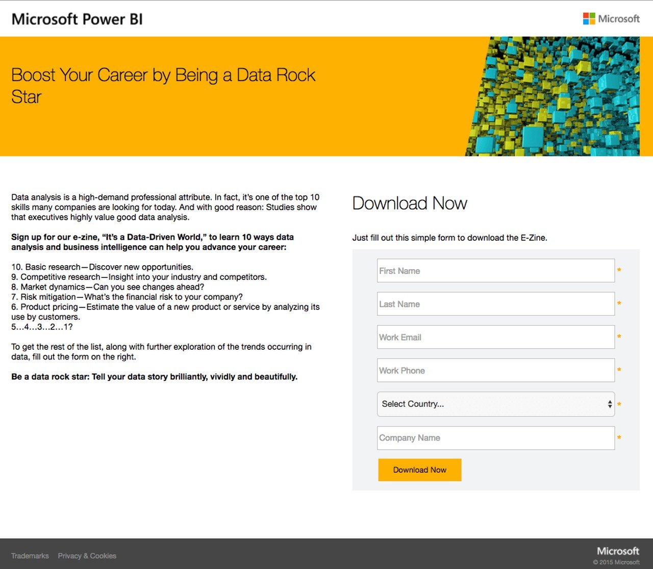 Microsoft Power BI landing page example