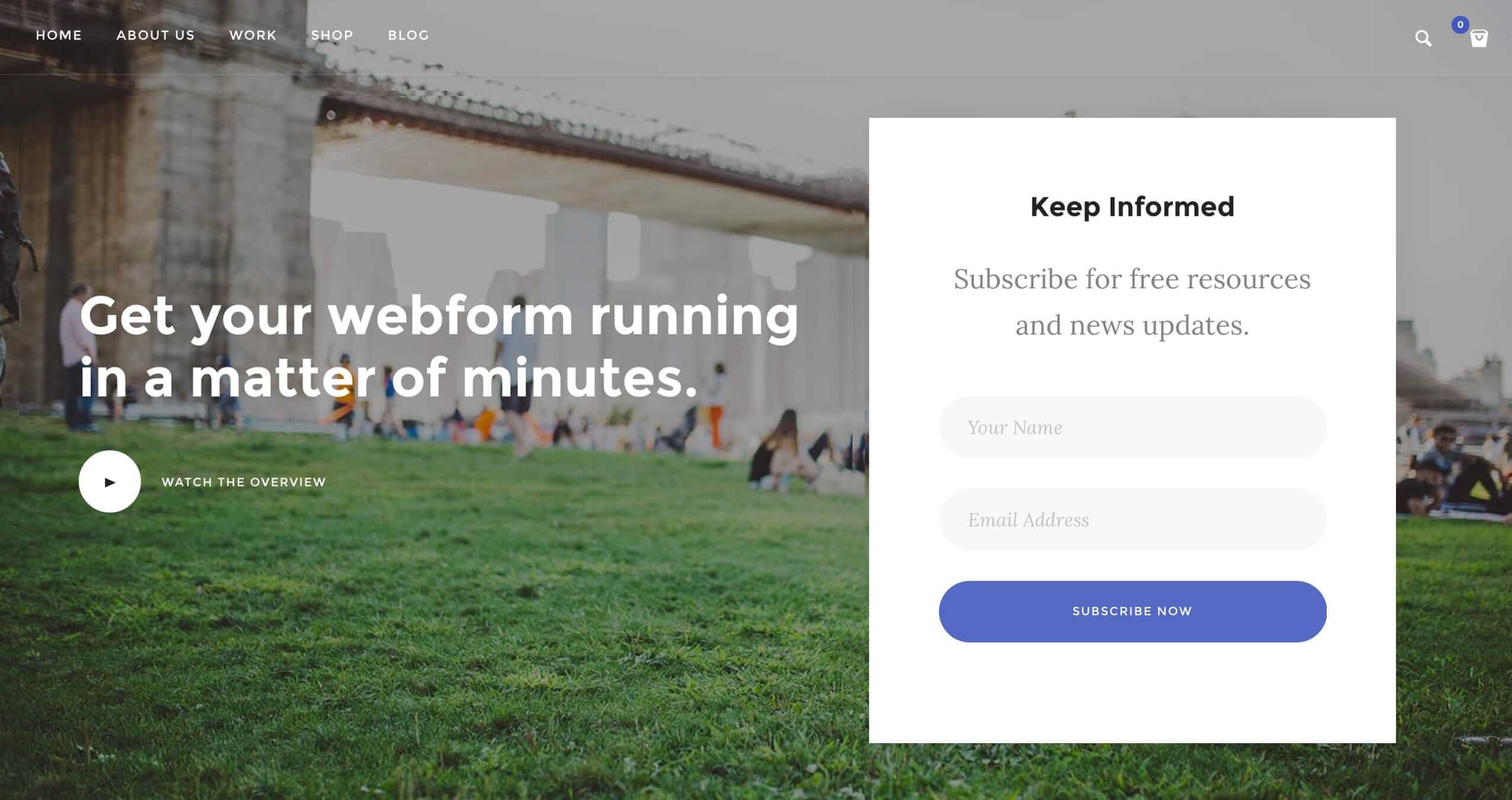 Mailerlite Optin Formları Ekleme