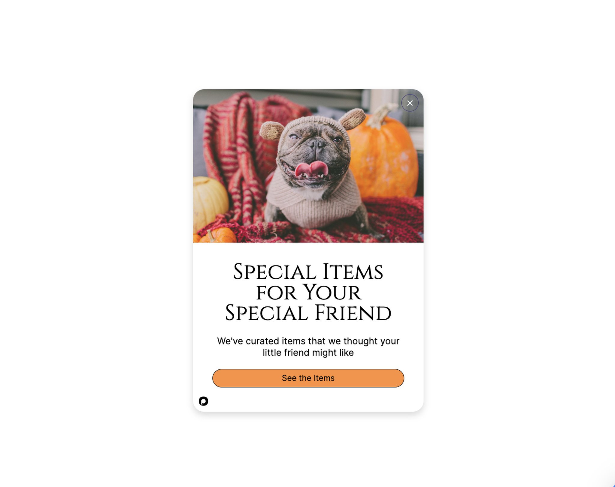 Personalized recommendation popup showing a dog wearing a coat with a Special items for your special friend headline as a behavioral targeting example