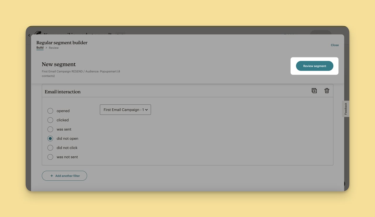 MailChimp'te Segmenti İncele butonu