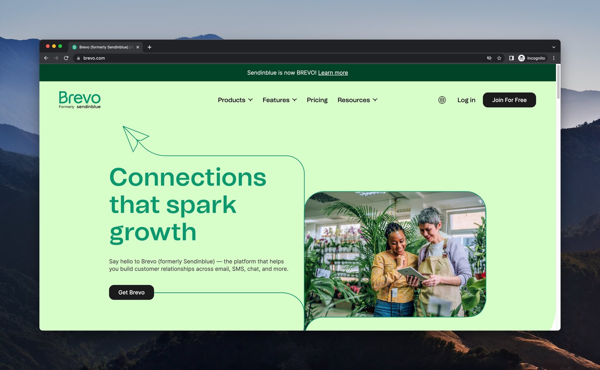 Brevo SMS marketing platform interface with campaign builder and analytics