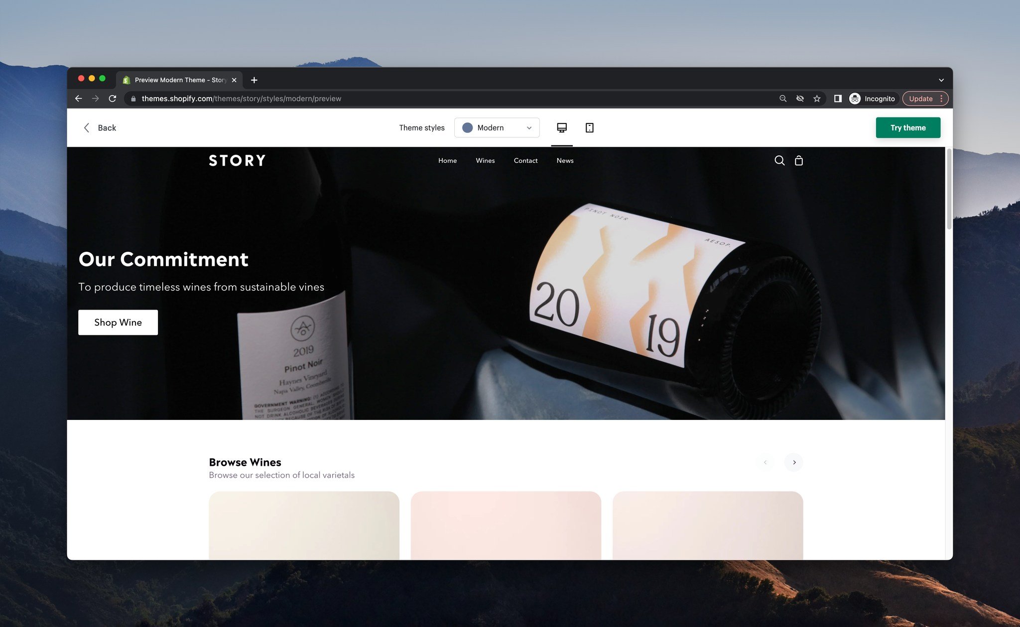 a screenshot of a demo store of Shopify template called Story