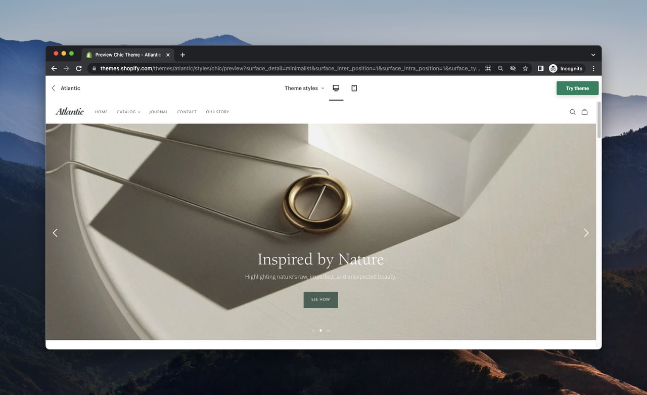 a screenshot of a demo store of Shopify template called Atlantic