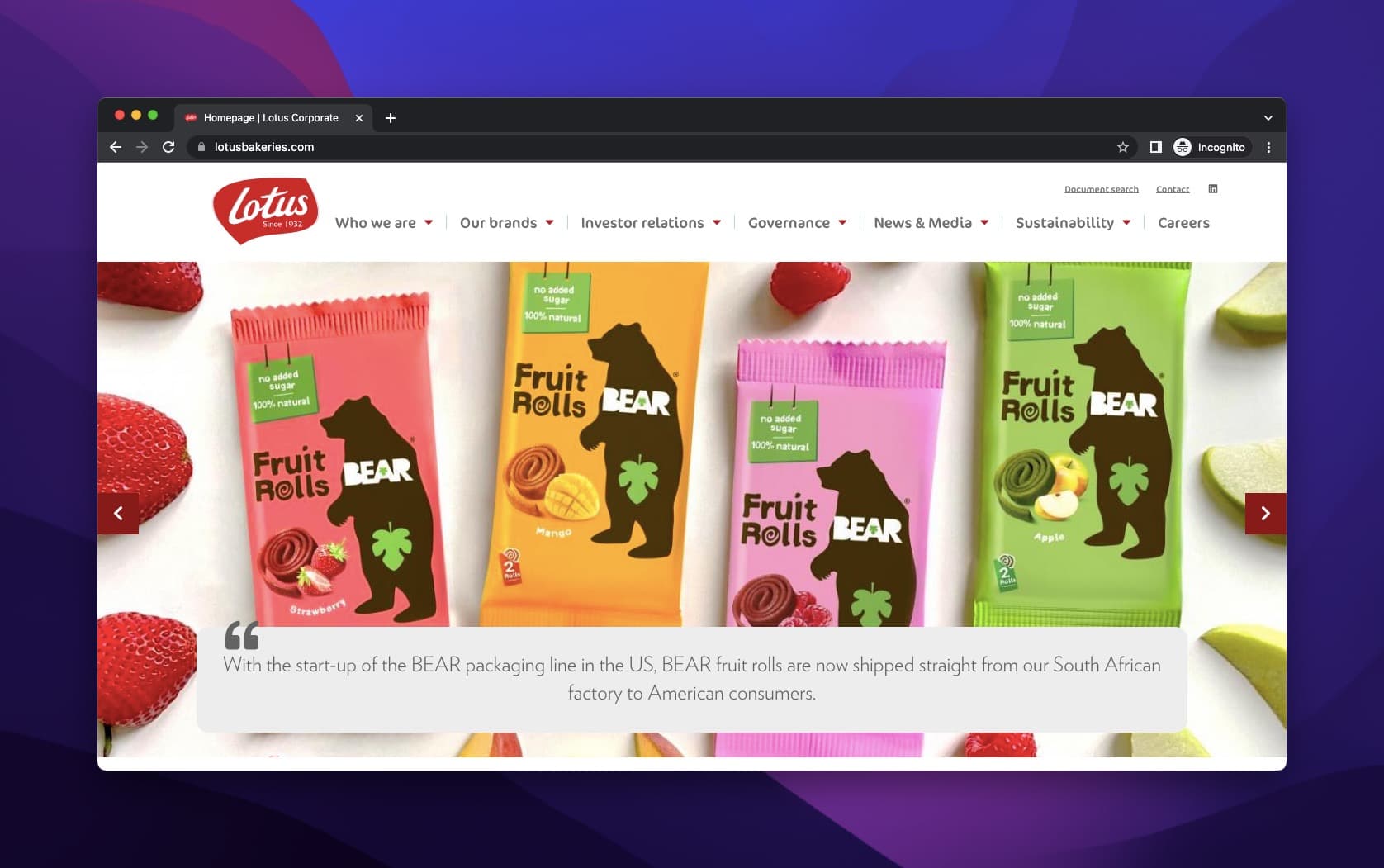 Lotus Bakeries new product line with bear-themed packaging and simple product headline