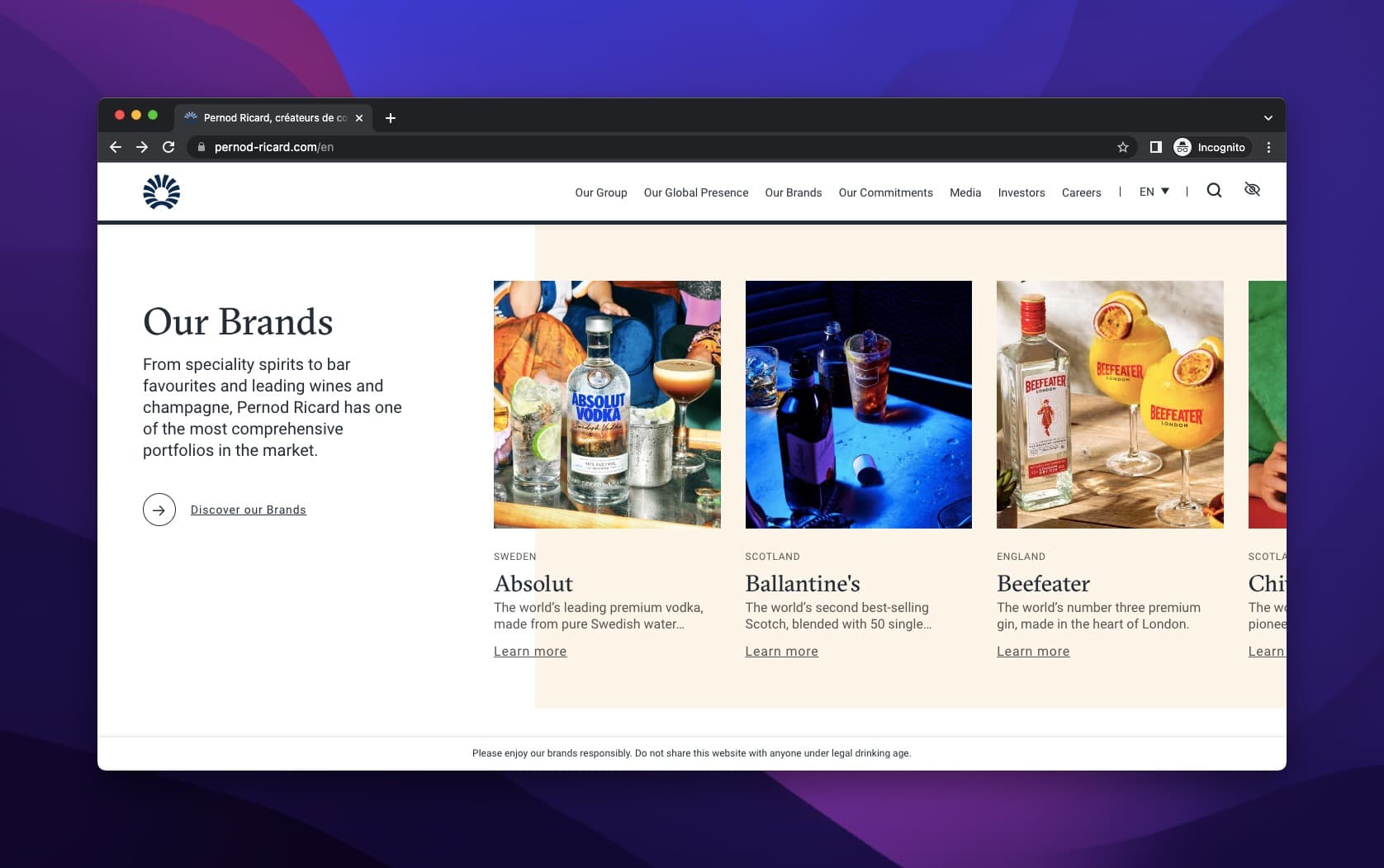 Pernod Ricard product portfolio displayed in a grid with Our Brands headline and individual product descriptions