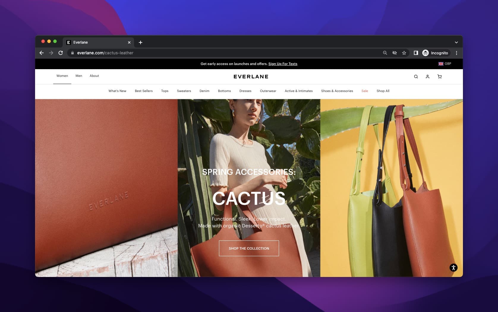 Everlane Cactus spring series promotion with brown-toned bag product image and product headline overlay