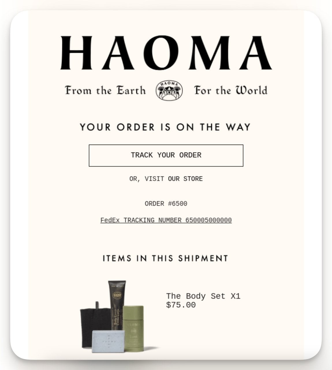 Haoma order confirmation email showing shipment details and tracking button for post-purchase communication