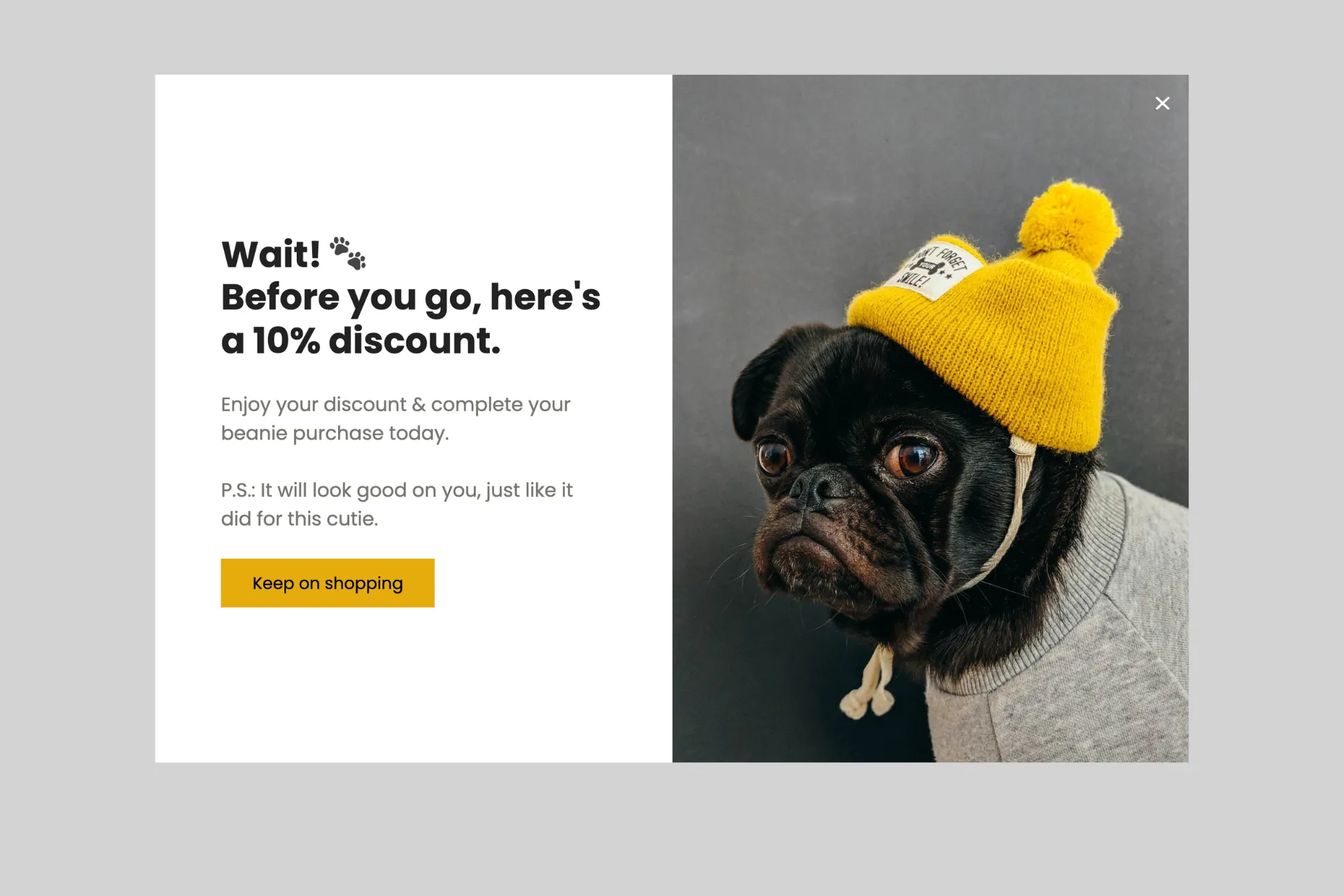 "Dur! Gitmeden önce, işte %10 indirim" diyen bir çıkış niyeti popup'u örneği ve bere giymiş bir köpeğin resmi