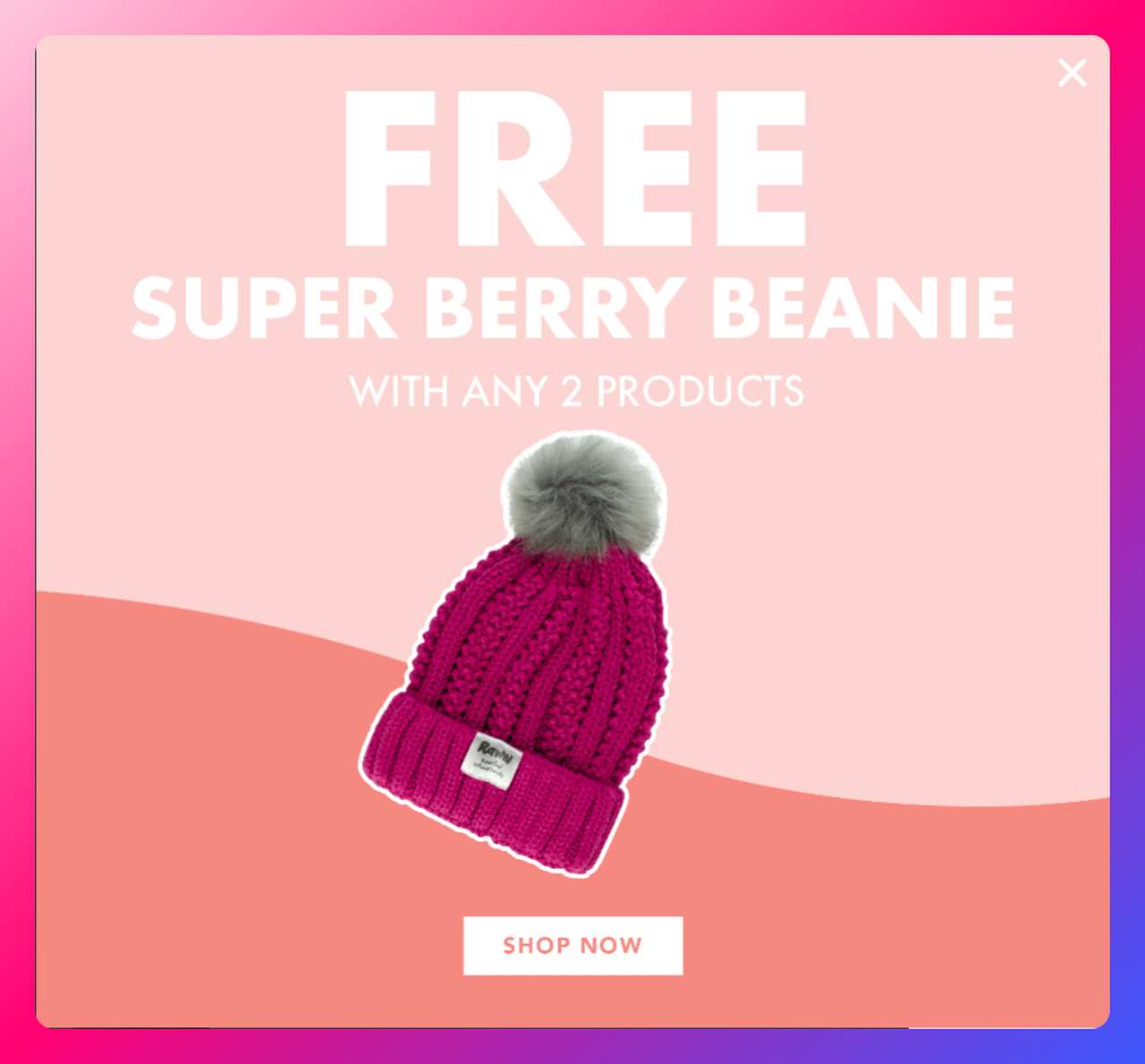 Raww Cosmetics cart abandonment popup offering a free branded hat with any completed purchase