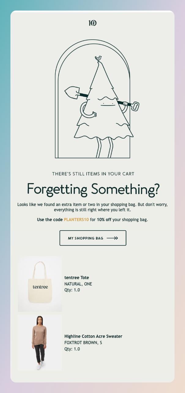 Ten Tree cart abandonment follow-up email titled Forgetting Something with a 10% off recovery code