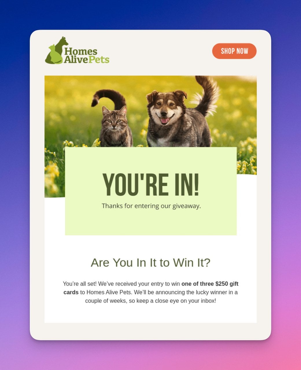 Homes Alive giveaway confirmation email with animal picture and contest details