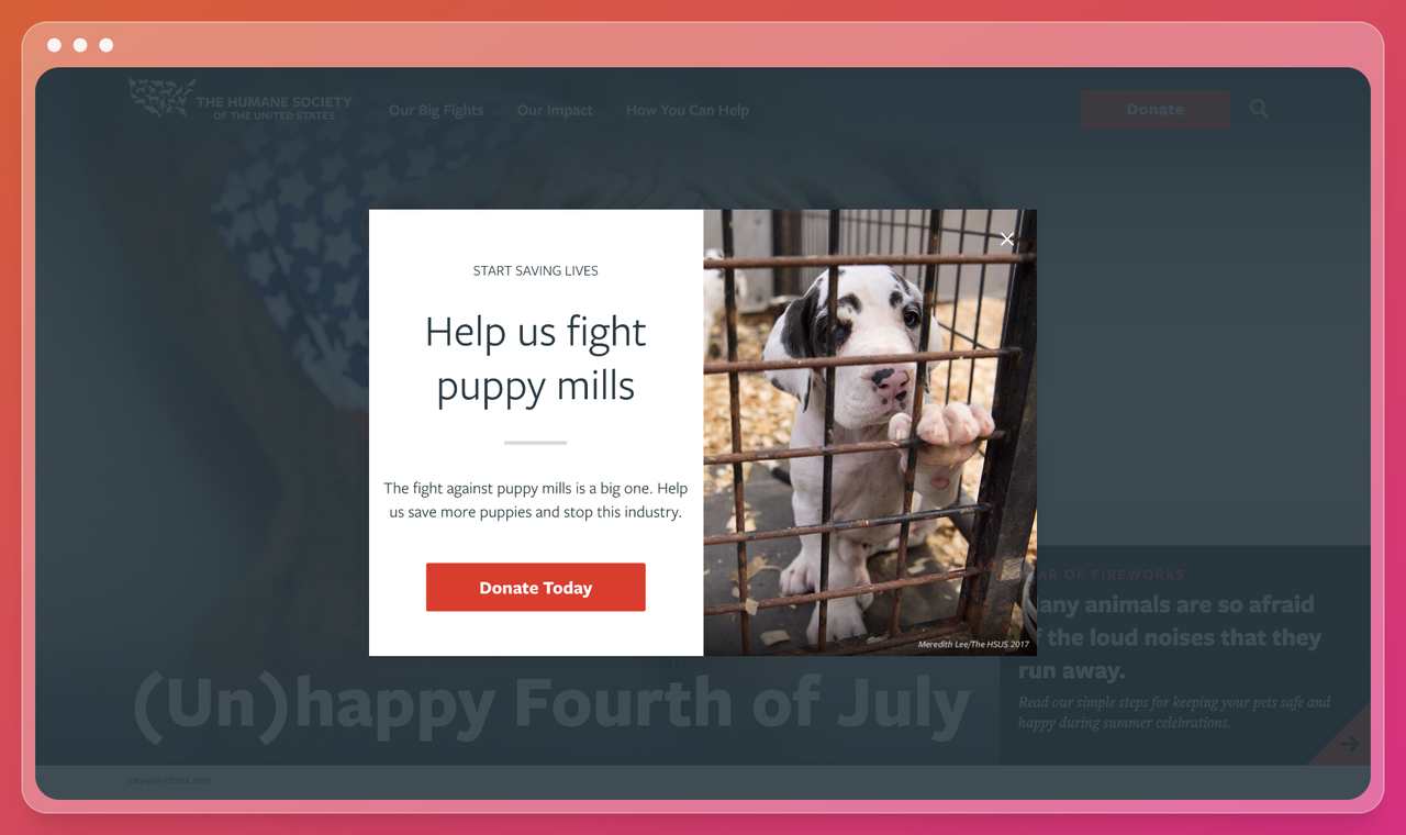 hayvan hakları için mücadele eden bir sivil toplum kuruluşunun pop-up görüntüsü