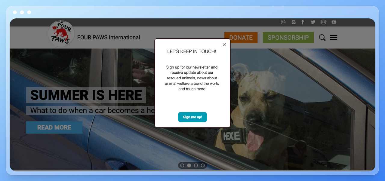 Çıkış niyetli bir pop-up bulunan Four Paws sivil toplum kuruluşu web sitesinin ekran görüntüsü