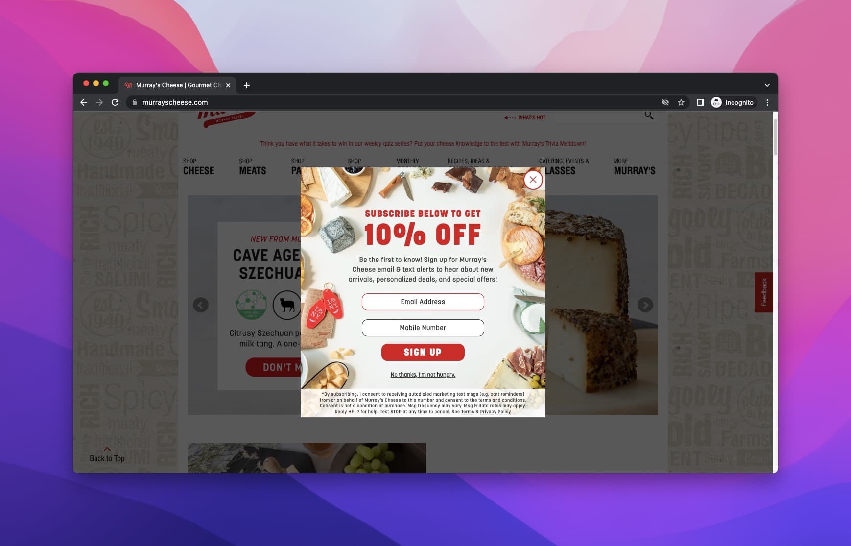 Murray's ana sayfasında çeşitli peynir türlerinin resimlerinin çevrelediği ve e-posta adresi kutusunun bulunduğu indirim pop-up'u
