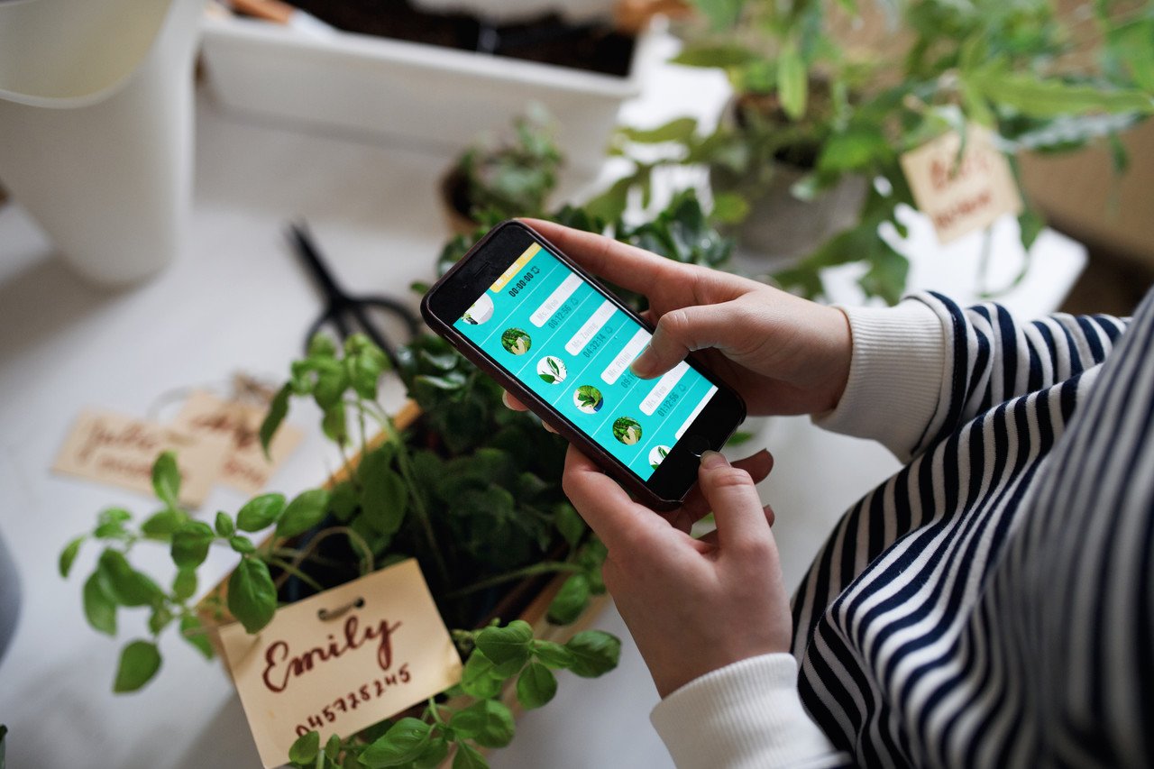 Woman with smartphone purchasing a dropshipping item online