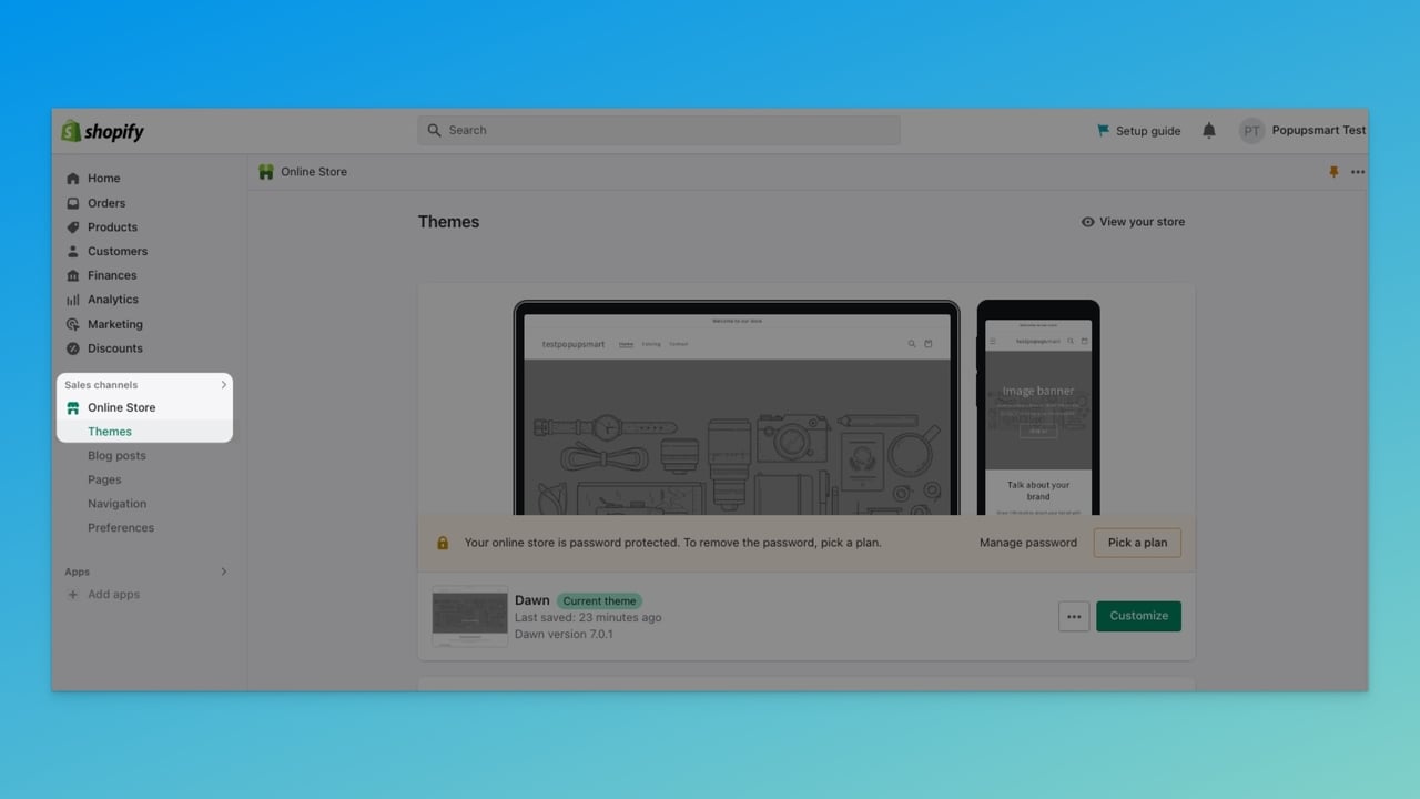 Shopify admin panel showing the Themes section under Sales Channels