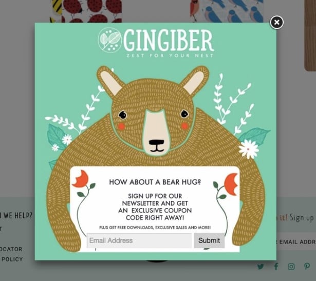 En iyi e-posta popup örnekleri- Gingiber