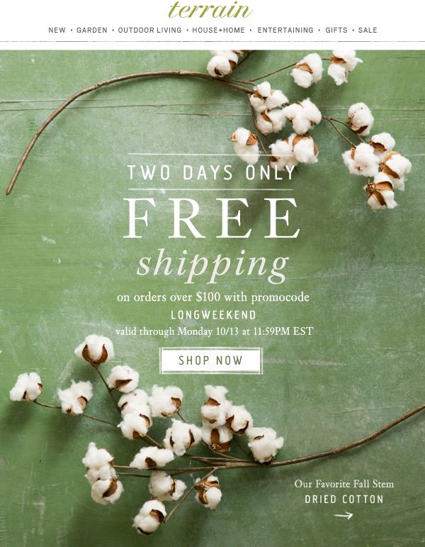 Free shipping deadline email example with FOMO trigger