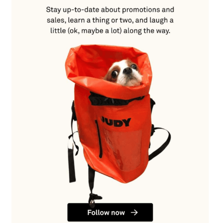 Second Judy comical email with dog imagery