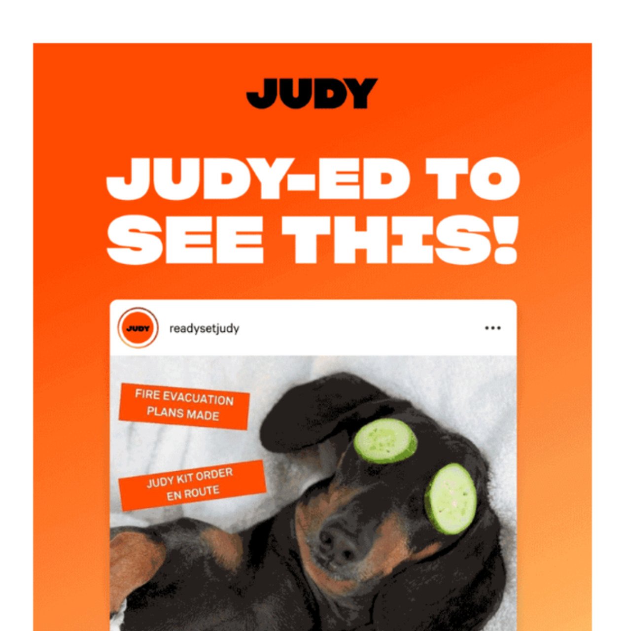 Judy emergency-themed funny email example