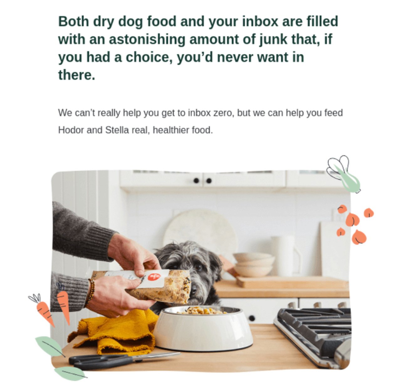 Second The Farmer's Dog email with dog humor and warm tone