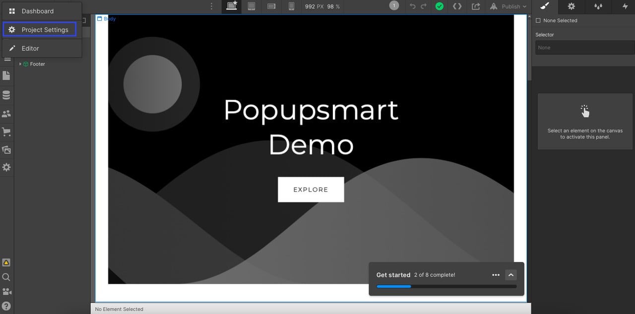 project settings section on webflow