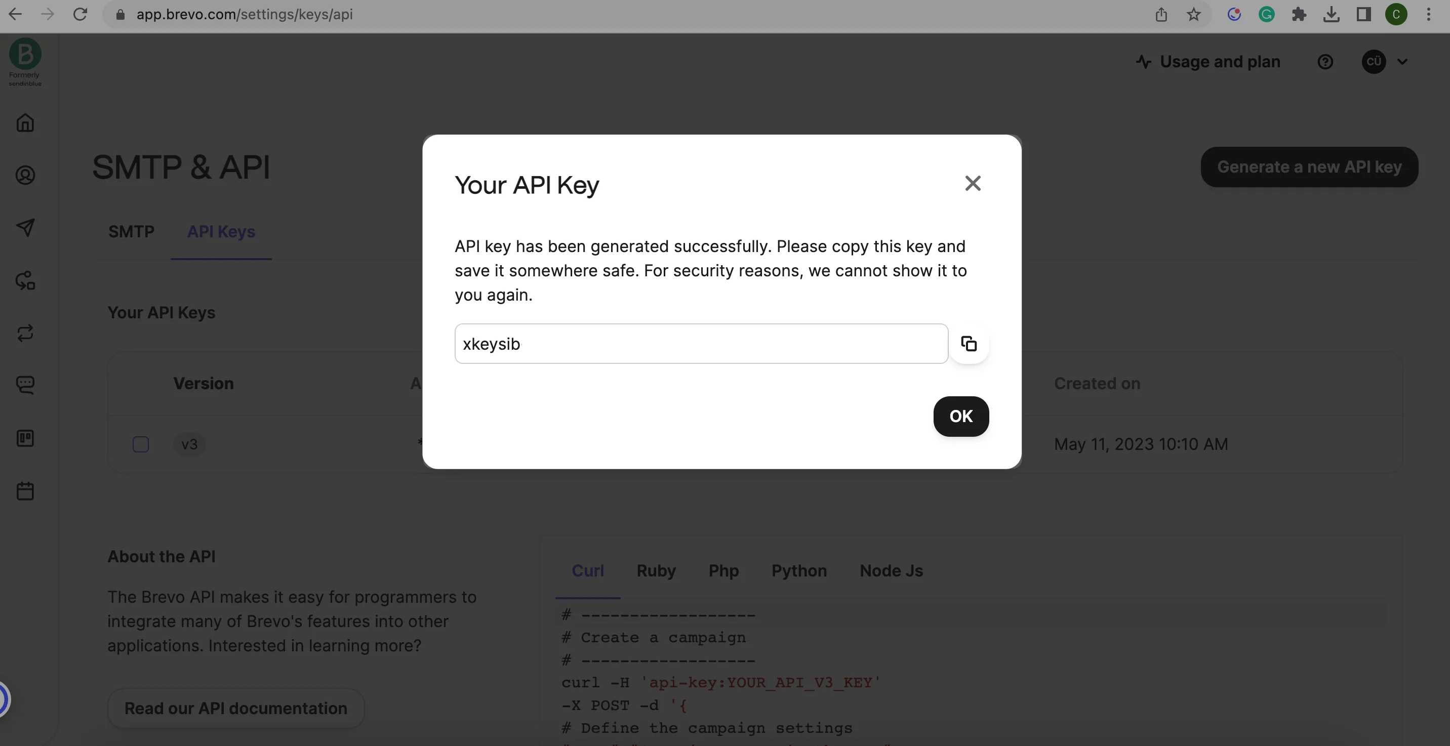 copy the api key