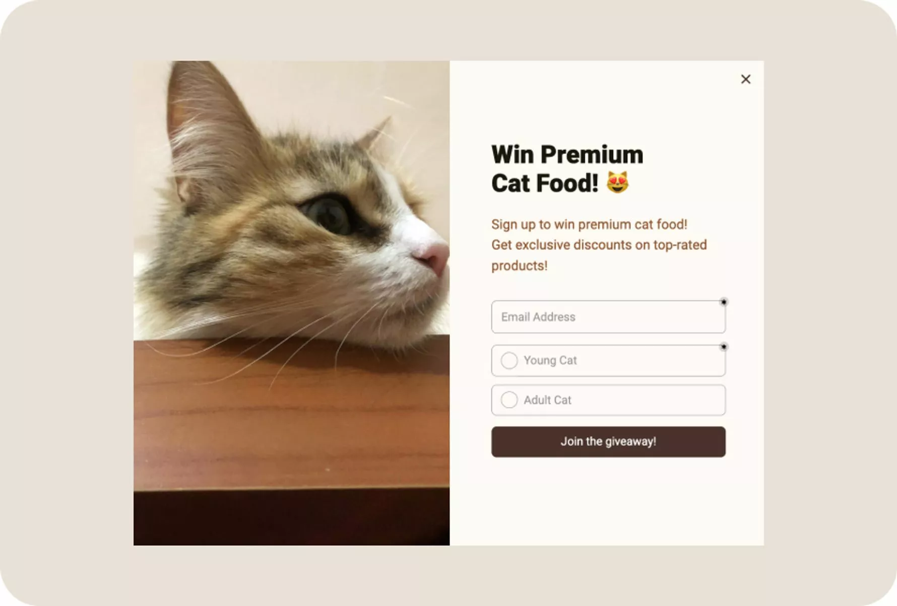 e-posta listesini büyütmek için çekiliş kampanyası