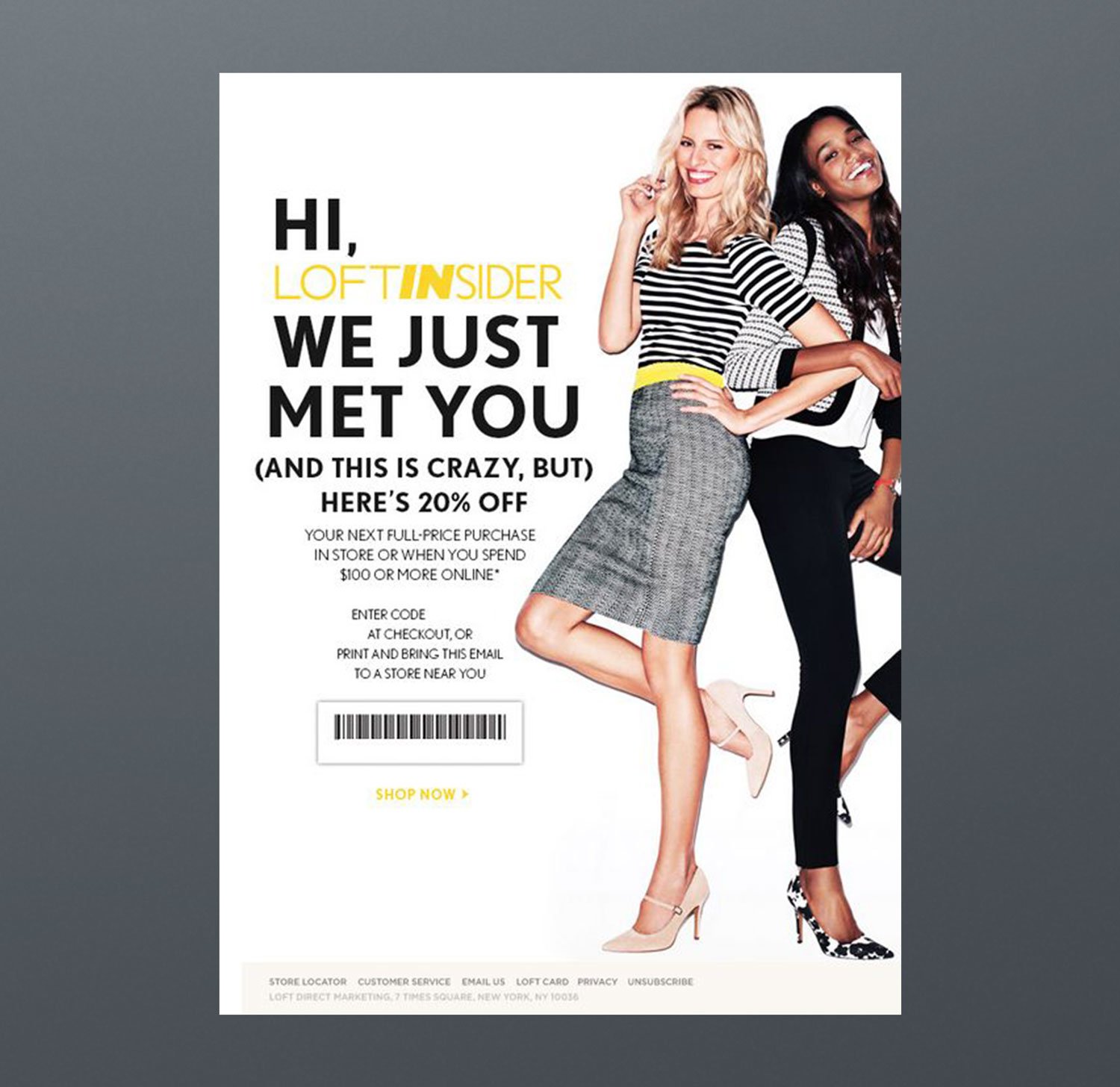 Email Marketing Campaign Loft Smiling Womans Newsletter