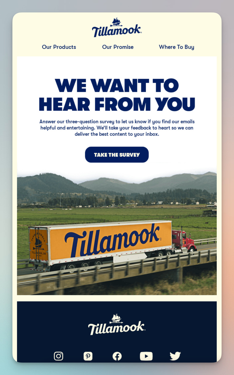 Tillamook feedback request email with three-question survey invitation and subscriber engagement incentive