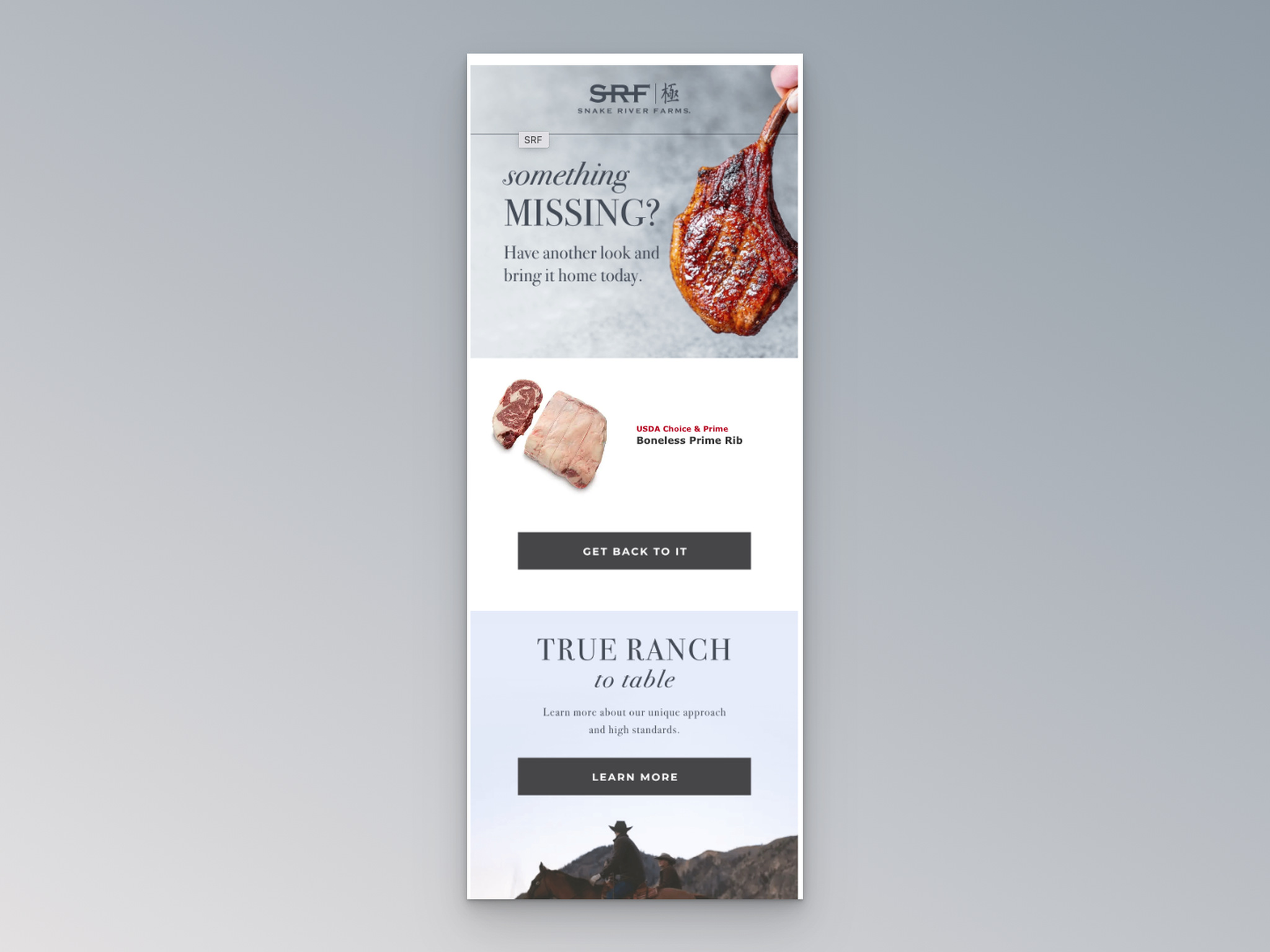 Snake River Farms browse abandonment email with product reminder and brand story section