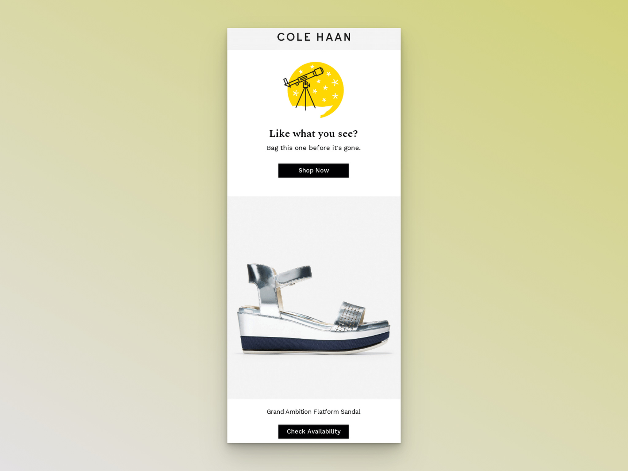 Cole Haan'ın terkedilmiş tarama e-postası örneğinin ekran görüntüsü
