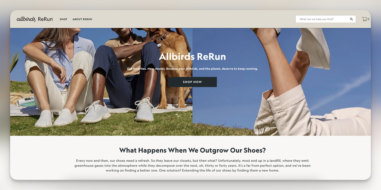 An example of Product Management function from Allbirds showing their ReRun program