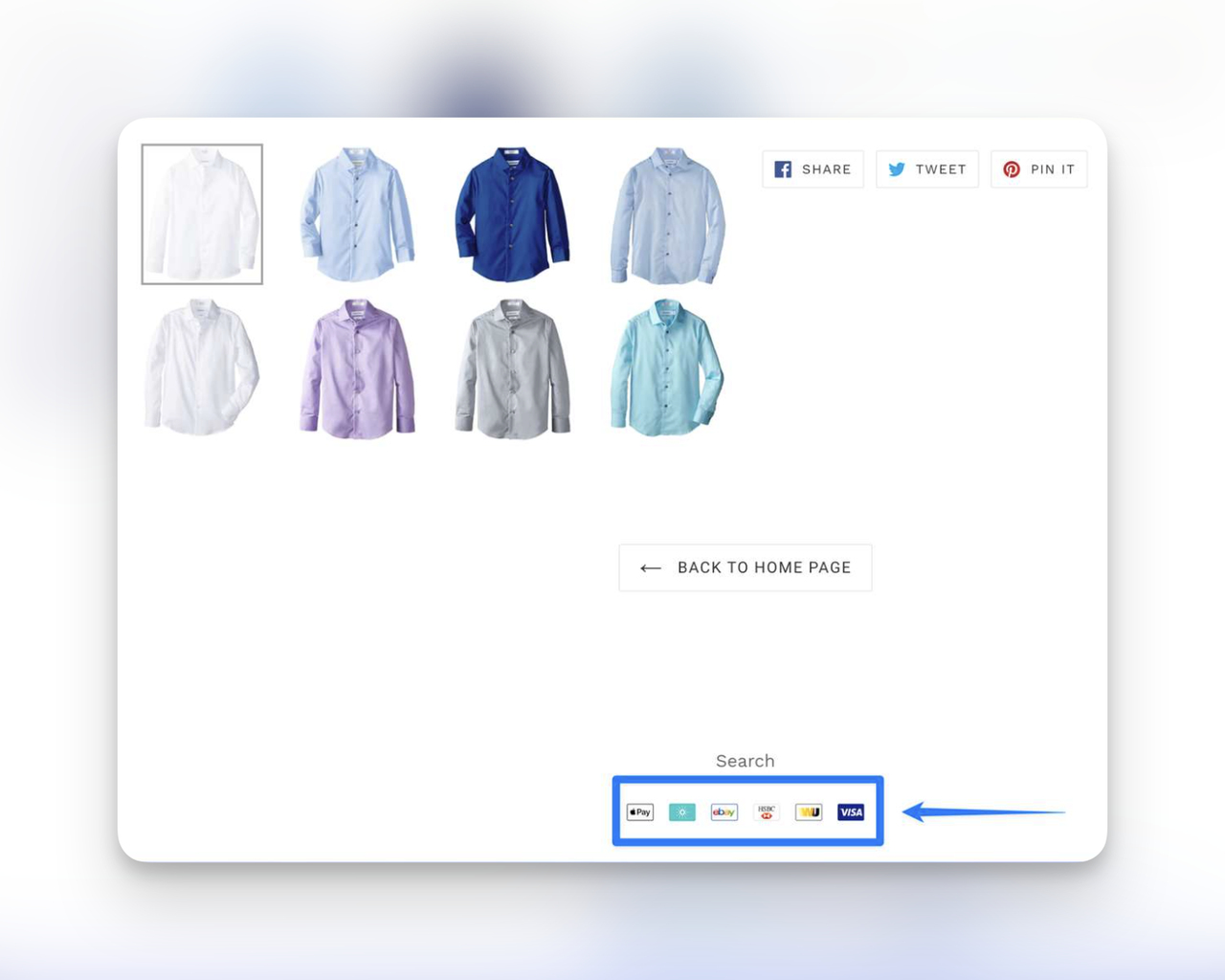 payment trust badges displayed in an e-commerce site footer