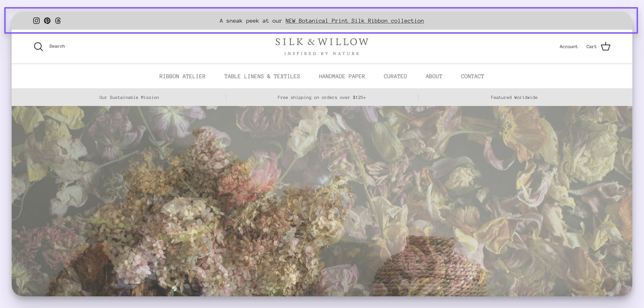 Silk and Willow hello bar example