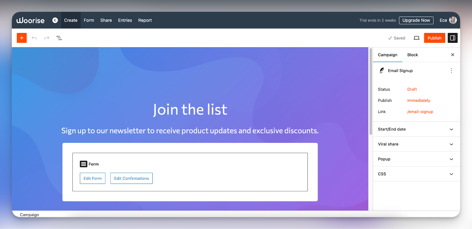 A screenshot from the dashboard of Woorise, one of the form creation tools