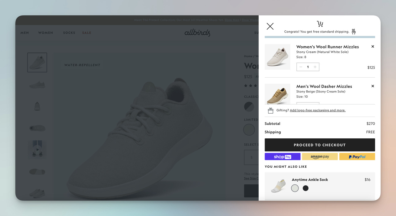 Allbirds ödeme işlemi alanı
