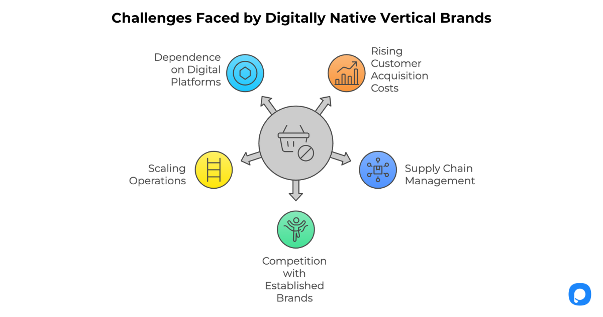 Challenges Faced by Digitally Native Vertical Brands (DNVBs)