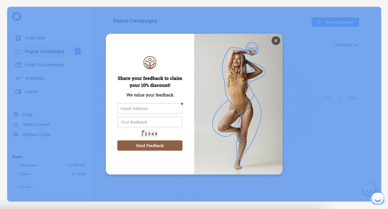 Survey and Feedback Website Overlays
