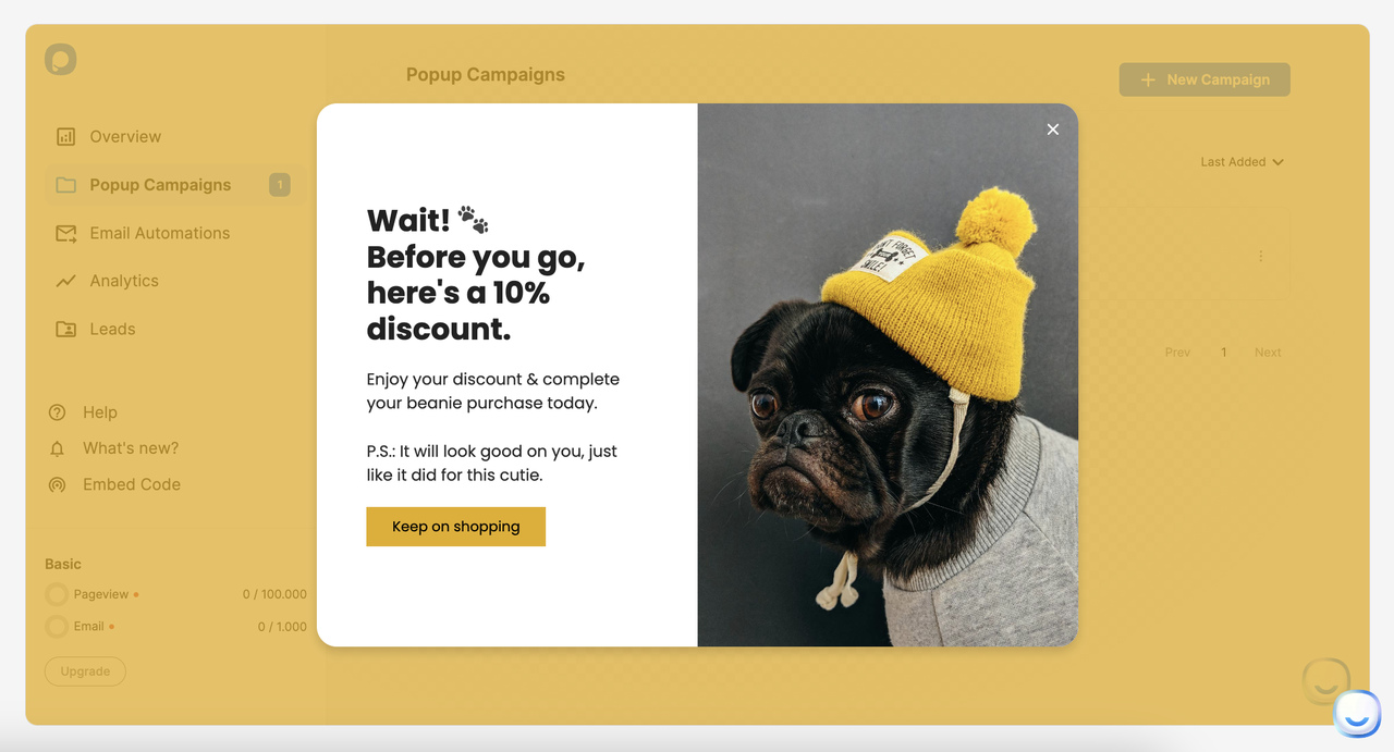 Exit-Intent Website Overlays