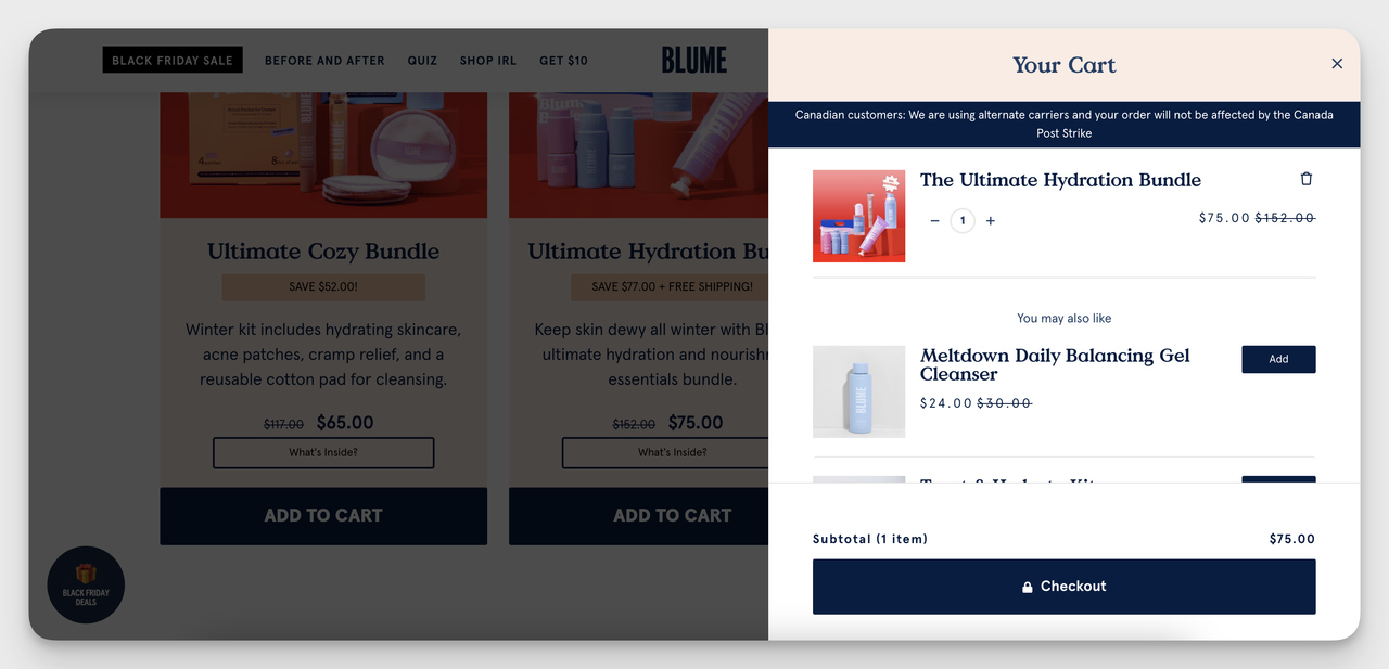 Website Overlay Examples 2: Blume